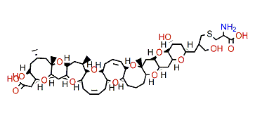 open A-ring cysteine-Brevetoxin A